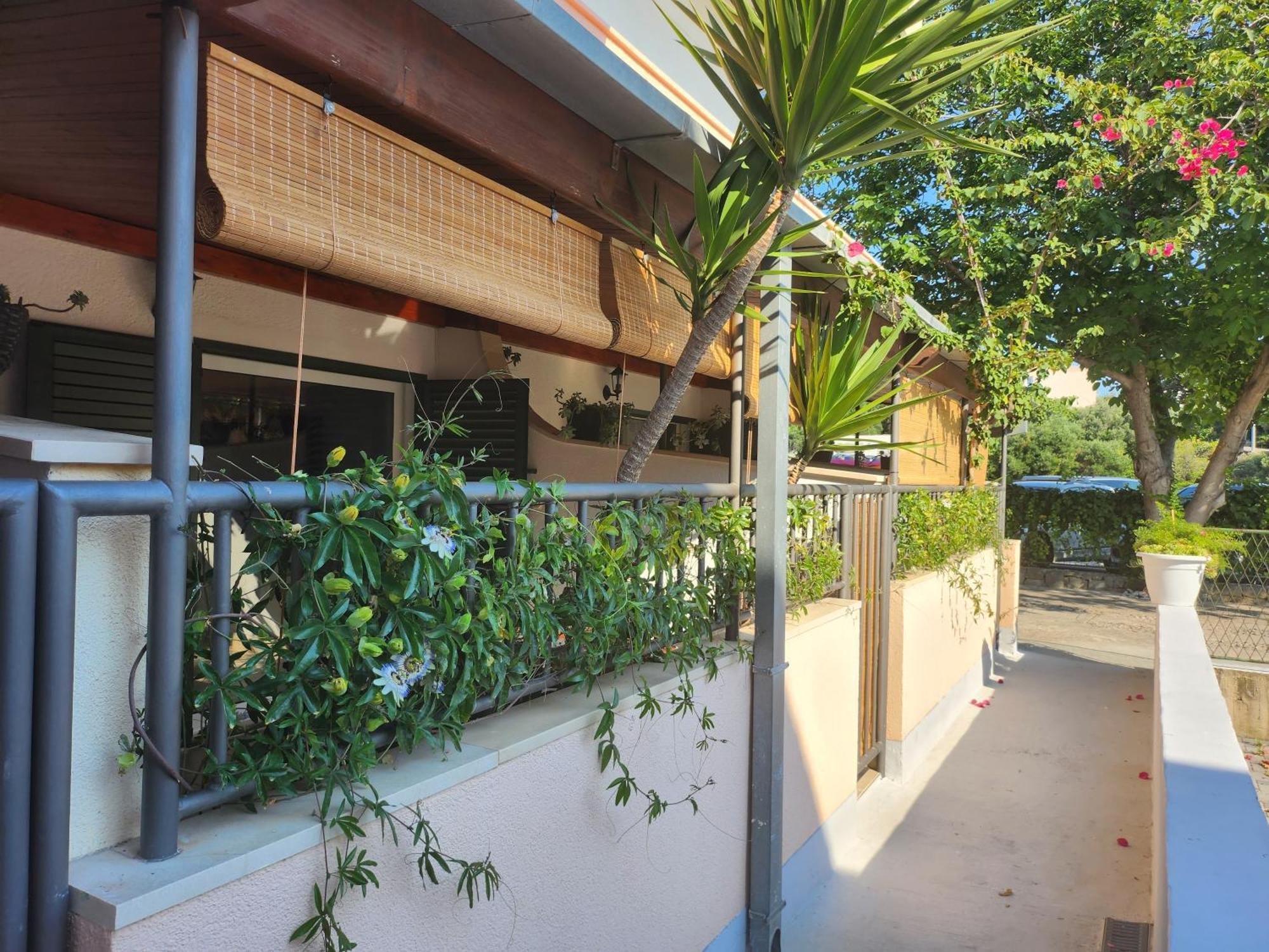 Apartmani Dijana Podgora Εξωτερικό φωτογραφία