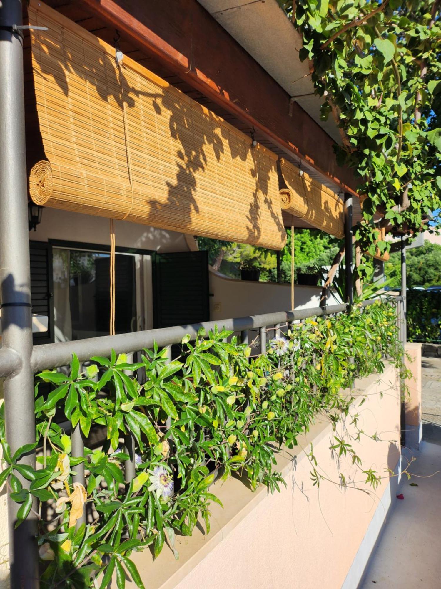 Apartmani Dijana Podgora Δωμάτιο φωτογραφία